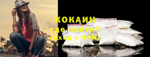 гидра Осинники
