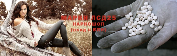 кокс Алзамай