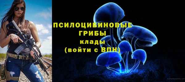 кокс Алзамай