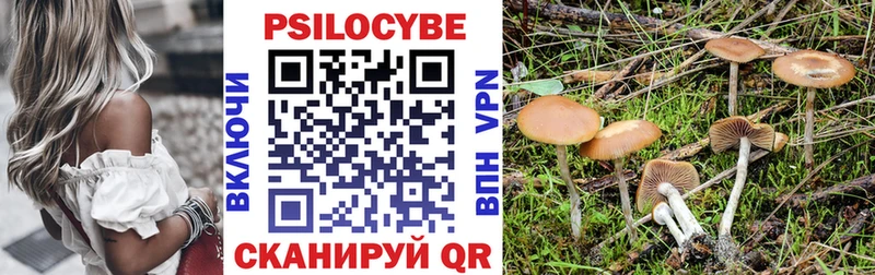 даркнет сайт  Туринск  omg tor  Псилоцибиновые грибы Psilocybine cubensis 