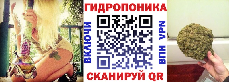 как найти закладки  Туринск  Каннабис AK-47 